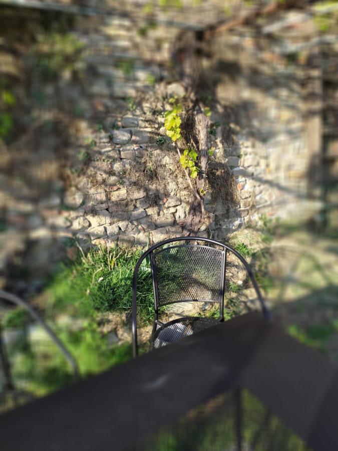Casa Mantel Holiday Home Panoramic View In Langhe 诺韦洛 外观 照片