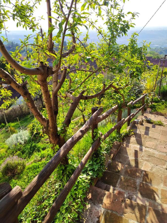 Casa Mantel Holiday Home Panoramic View In Langhe 诺韦洛 外观 照片